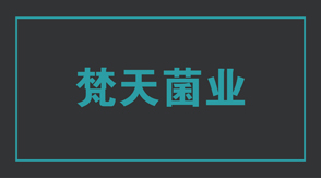 食品行業工作服定制設計款式